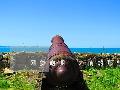 网贷逾期 之前的那些认证 网贷逾期 之前的那些认证
